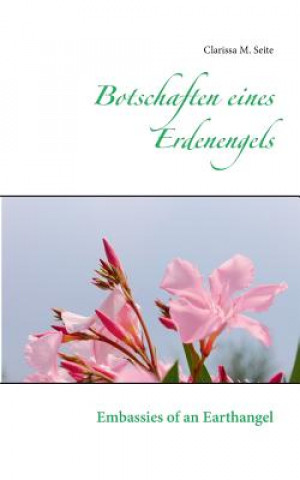 Knjiga Botschaften eines Erdenengels Clarissa M Seite