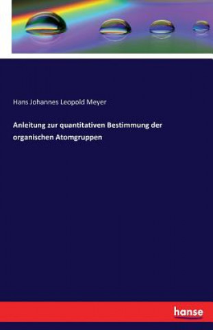Könyv Anleitung zur quantitativen Bestimmung der organischen Atomgruppen Hans Johannes Leopold Meyer