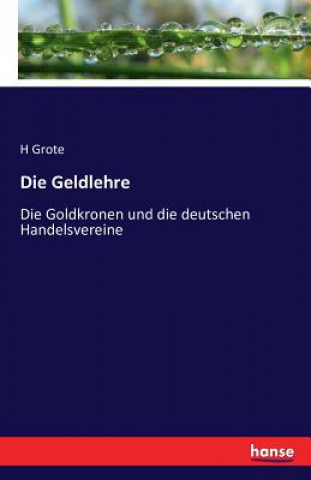 Kniha Geldlehre Hermann Grote