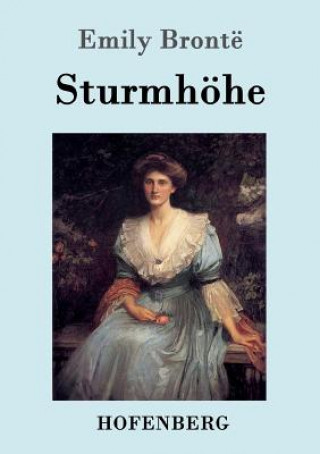 Buch Sturmhoehe Emily Bronte