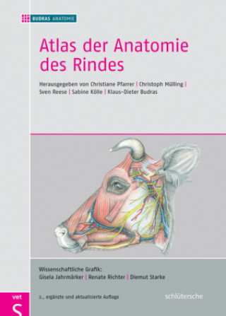 Książka Atlas der Anatomie des Rindes Christoph Mülling