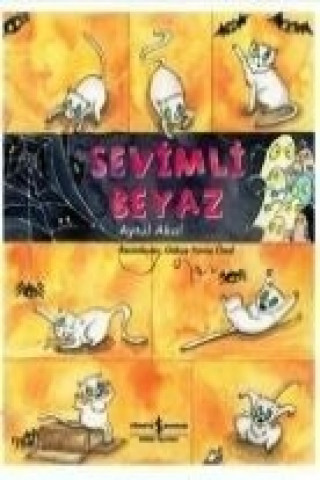 Kniha Sevimli Beyaz Aytül Akal