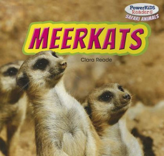 Knjiga Meerkats Clara Reade