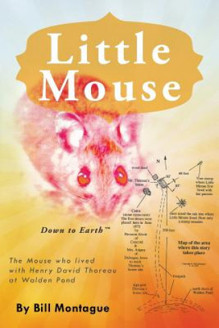 Buch Little Mouse Bill Montague