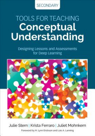 Könyv Tools for Teaching Conceptual Understanding, Secondary Julie Harris Stern