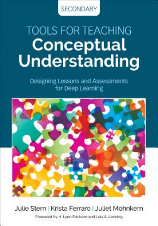 Książka Tools for Teaching Conceptual Understanding, Secondary Julie Harris Stern