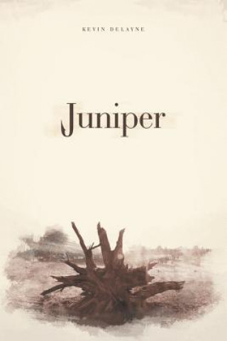 Книга Juniper Kevin Delayne