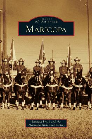 Carte Maricopa Patricia Brock