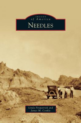 Buch Needles Linda Fitzpatrick