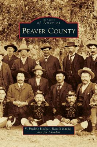 Kniha Beaver County Ph. D. Hodges