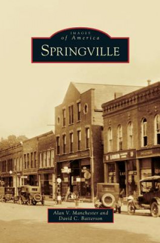 Carte Springville Alan V. Manchester