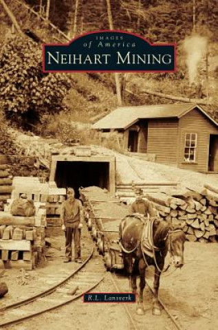 Kniha Neihart Mining R. L. Lansverk