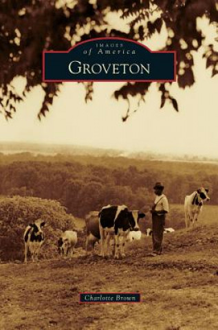 Buch Groveton Charlotte Brown