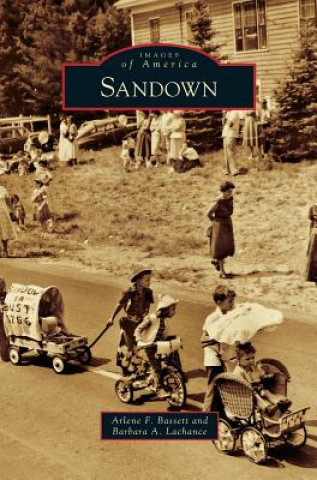 Knjiga Sandown Arlene F. Bassett