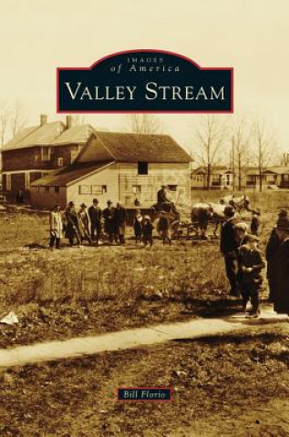 Book Valley Stream Bill Florio