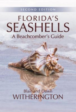 Carte Florida's Seashells Blair Witherington