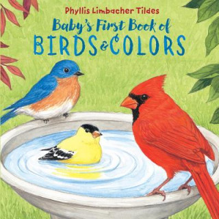 Knjiga Baby's First Book of Birds & Colors Phyllis Limbacher Tildes