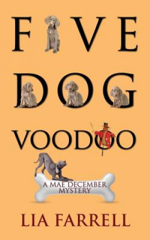 Kniha Five Dog Voodoo Lia Farrell