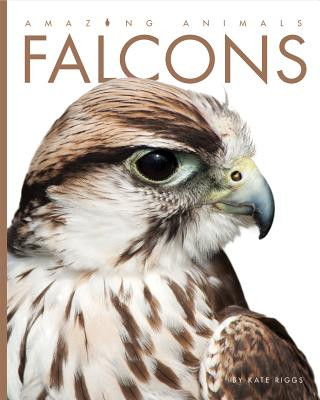 Książka Falcons Kate Riggs