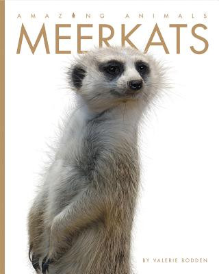 Könyv Meerkats Valerie Bodden