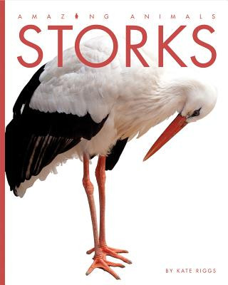 Książka Storks Kate Riggs