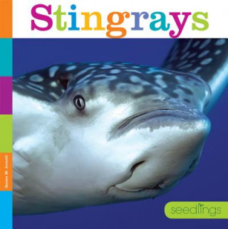 Книга Stingrays Quinn A. Arnold