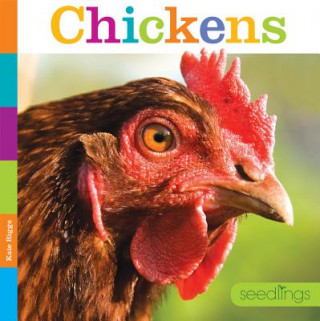 Carte Chickens Kate Riggs