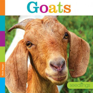 Carte Goats Kate Riggs