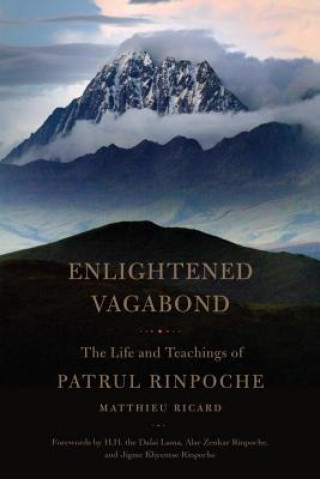 Kniha Enlightened Vagabond Matthieu Ricard