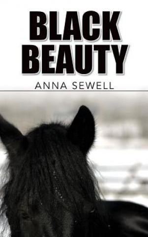 Buch Black Beauty Anna Sewell