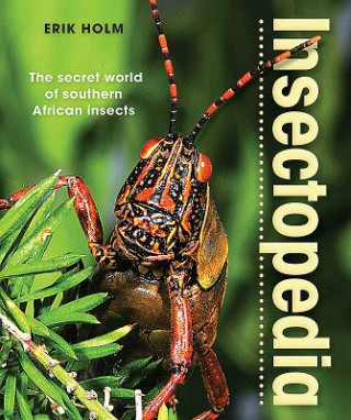 Könyv Insectopedia - The secret world of southern African insects Erik Holm