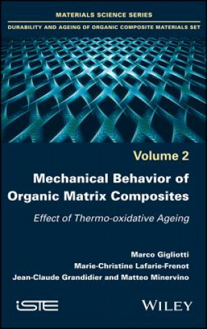 Kniha Mechanical Behavior of Organic Matrix Composites Marco Gigliotti