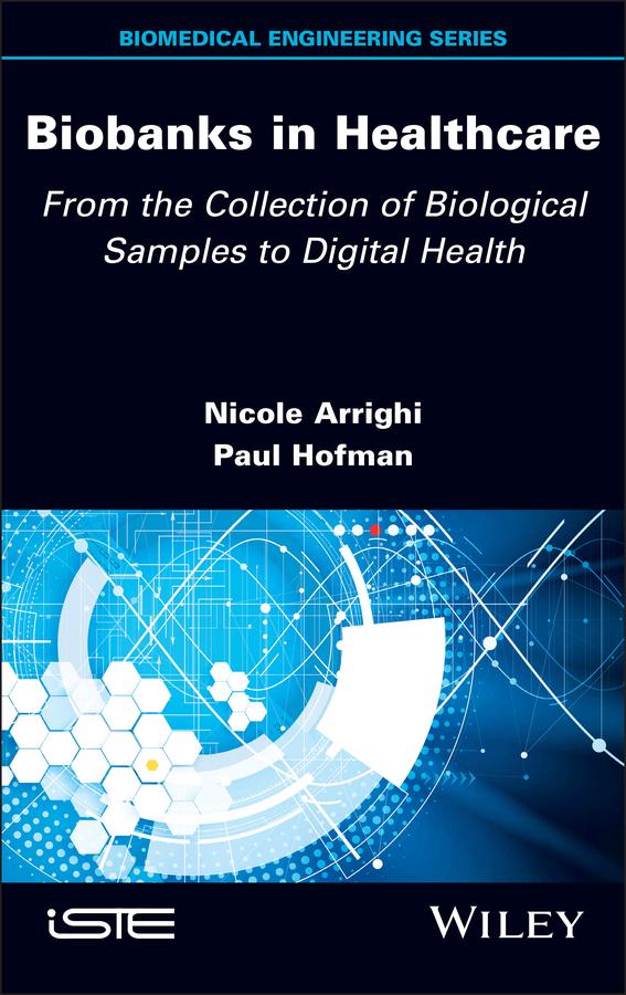 Knjiga SCALE EFFECTS & HOMOGENISATION Paul Hofman
