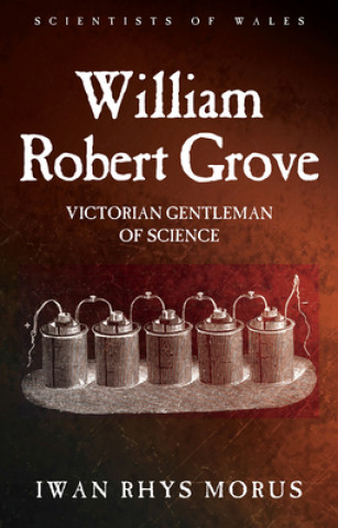 Книга William Robert Grove Iwan Rhys Morus