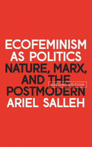 Książka Ecofeminism as Politics Ariel Salleh