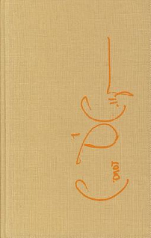 Libro Fiction Conor O'Callaghan