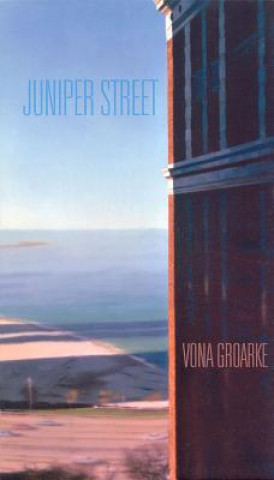 Knjiga Juniper Street Vona Groarke