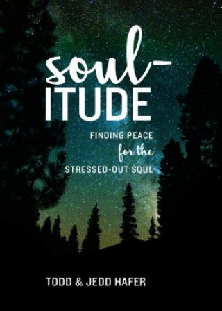 Carte Soul-Itude: Finding Peace for the Stressed-Out Soul Todd Hafer