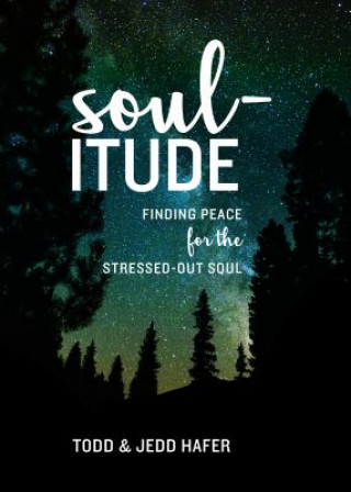 Knjiga Soul-Itude: Finding Peace for the Stressed-Out Soul Todd Hafer