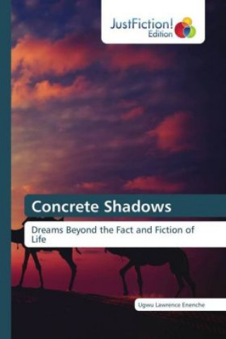 Kniha Concrete Shadows Ugwu Lawrence Enenche