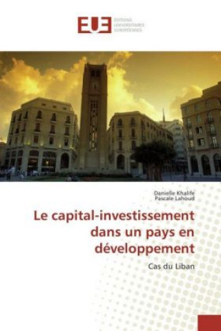 Book Le capital-investissement dans un pays en développement Danielle Khalife