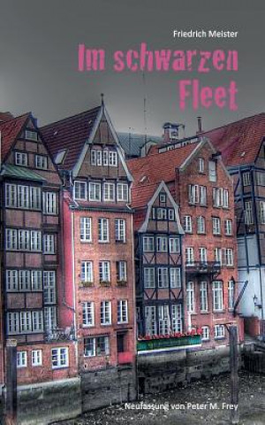 Книга Im schwarzen Fleet Friedrich Meister