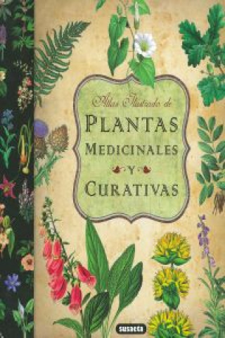 Könyv Plantas medicinales y curativas 