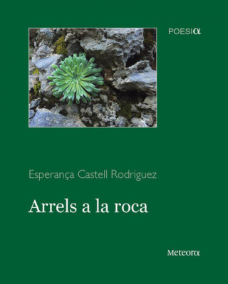 Buch Arrels a la roca Castell Rodriguez