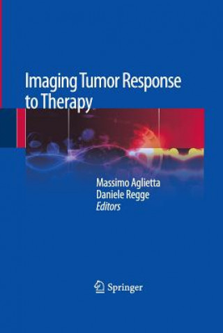 Könyv Imaging Tumor Response to Therapy Massimo Aglietta