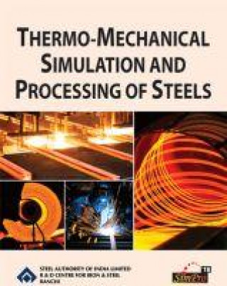 Könyv Thermo-Mechanical Simulation and Processing of Steels B. K. Jha