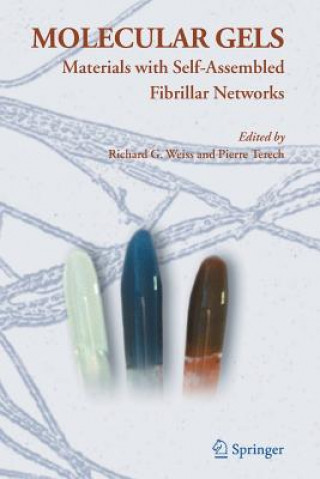 Livre Molecular Gels Richard G. Weiss