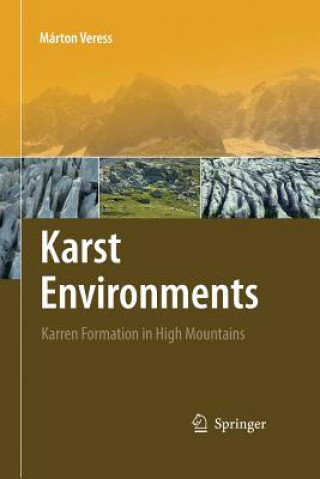 Kniha Karst Environments Marton Veress