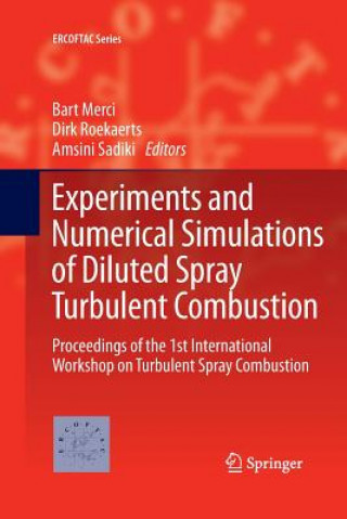 Kniha Experiments and Numerical Simulations of Diluted Spray Turbulent Combustion Bart Merci