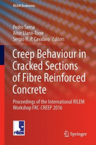 Könyv CREEP BEHAVIOUR IN CRACKED SEC Pedro Serna